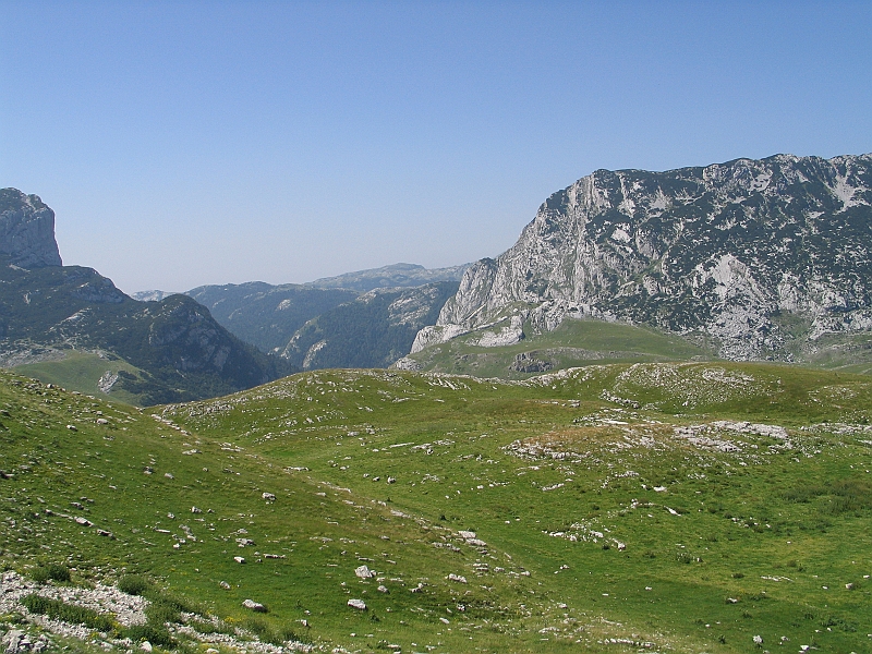 Original image